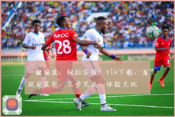 一键安装，轻松实现：via下载，高效安装包，三步完成，体验无忧
