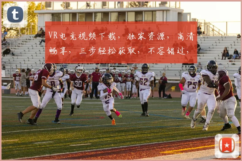 VR电竞视频下载，独家资源，高清畅享，三步轻松获取，不容错过，快来下载