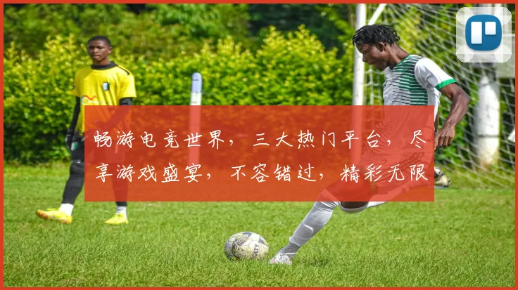 畅游电竞世界，三大热门平台，尽享游戏盛宴，不容错过，精彩无限