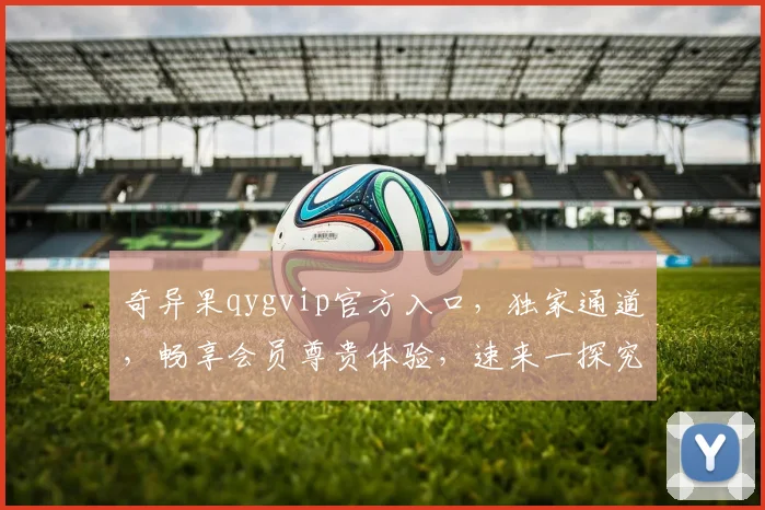 奇异果qygvip官方入口，独家通道，畅享会员尊贵体验，速来一探究竟